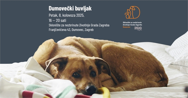 U petak prvi Dumovečki buvljak!