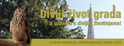 Divlji život grada - u suživotu s divljim životinjama