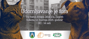 Akcija Udomljavanje je fora: Počinje gradnja skloništa za mačke