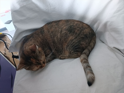 Ella