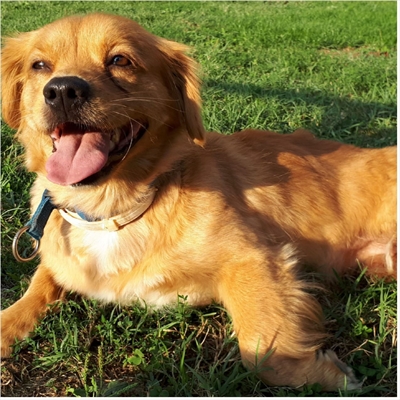 Lizzy u knjizici, no odaziva se na Bibby