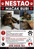 Bubi