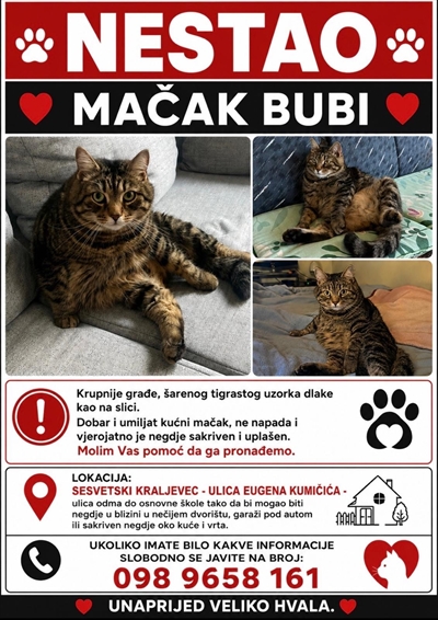 Bubi