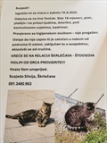 Toncek
