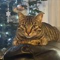 Sebastijan