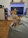 Charlie