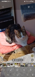 Kika