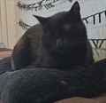 Salem
