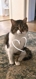 Oliver