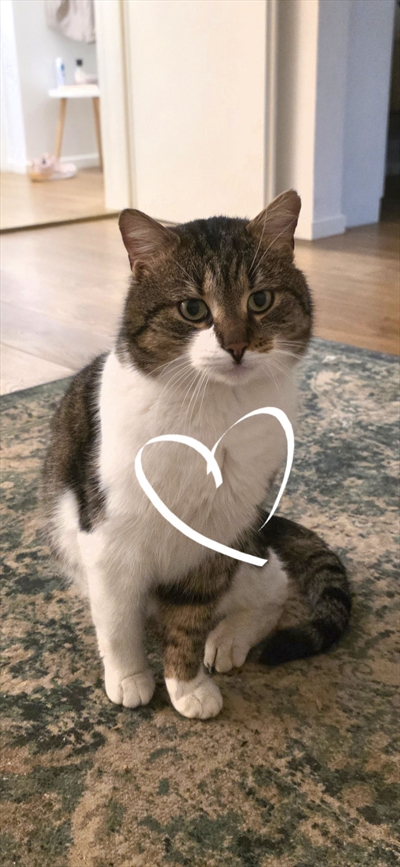 Oliver