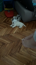 ZUKO