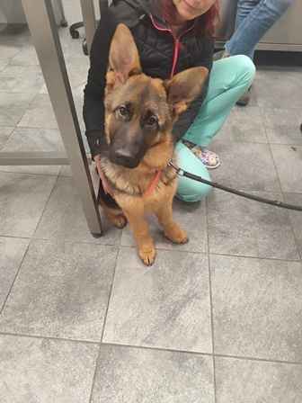 Nora