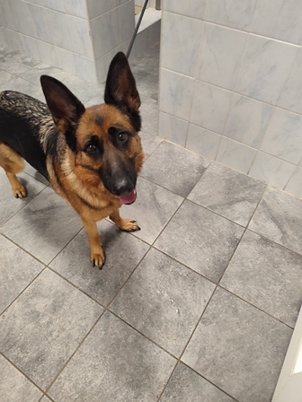 HERA