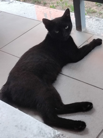 Luna