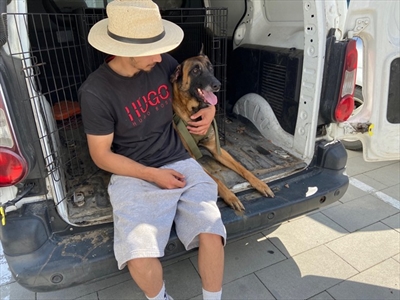 Max