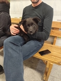 MIKA