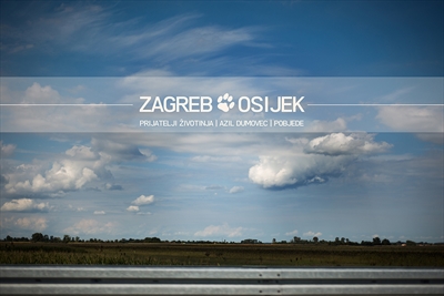Azil Pobjede u Osijeku – jer ljubav pobjeđuje