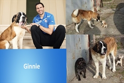 Ginnie - jedna od zvijezda s kalendara Dinamo&Dumovec 2014, nam se upravo javlja iz novog doma! Kaže da uživa u društvu svoje dvije nove prijateljice i da joj je baš super :) ... i da, sve vas lijepo pozdravlja ;)
