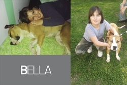 Bella se sva sretna javlja iz novog doma! Kaže da je svi jako vole i da svoju novu obitelj ne bi mijenjala nizašto na svijetu :)