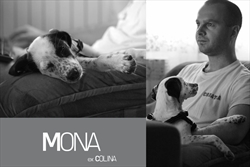 Monini udomitelji nam pišu: "Mona (kod vas je bila Colina) - da vidite da je i njoj i nama lijepo Pomaže dok radim tako da nasloni noge na tipkovnicu i spava... "  :)
