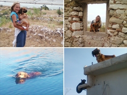 Bubi je udomljen 2011., sada uživa u plivanju, pjevanju, šetnjama, i igranju lovice sa mačkama :)